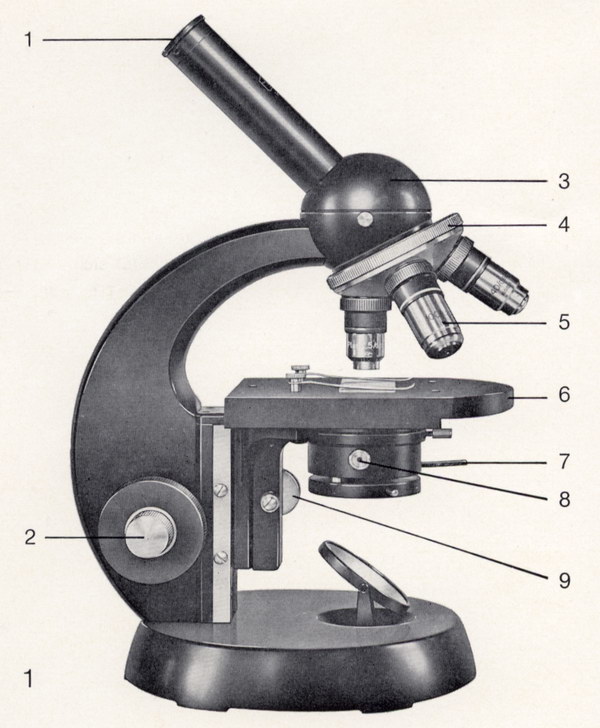 zeiss standard junior
